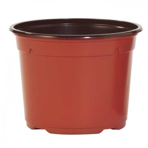 Pack of 50 10.5cm Black Round Plastic Plant Pots | ScotPlants Direct